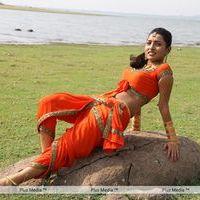 Marudhavelu Movie Hot Stills | Picture 116045